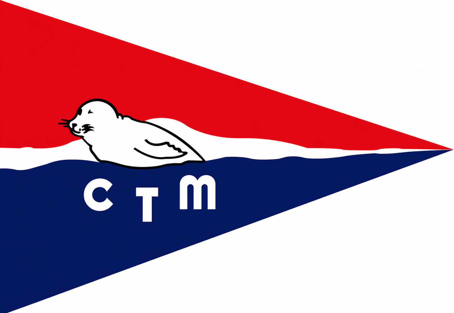 Bandeira CTM